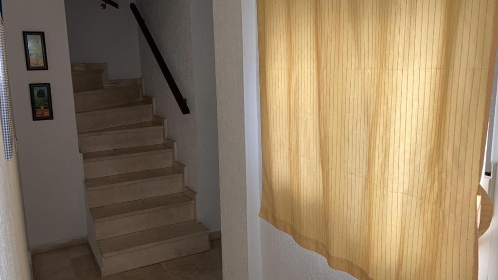 Duplex En El Centro De Apartment *